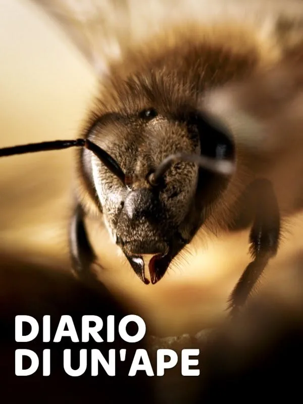 Diario di un'ape