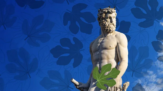 Dietro la foglia di fico