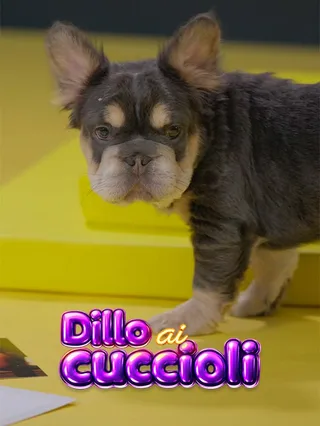 Dillo ai cuccioli