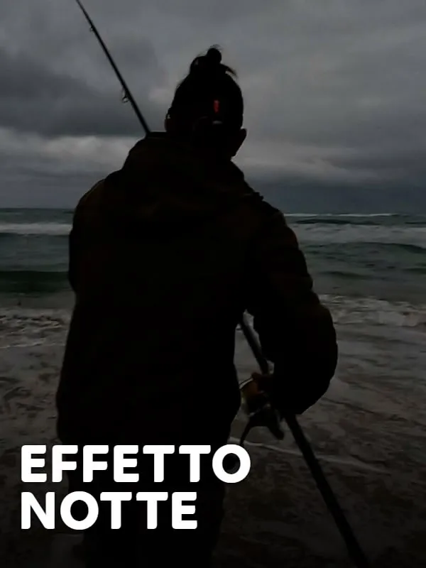Effetto notte 1