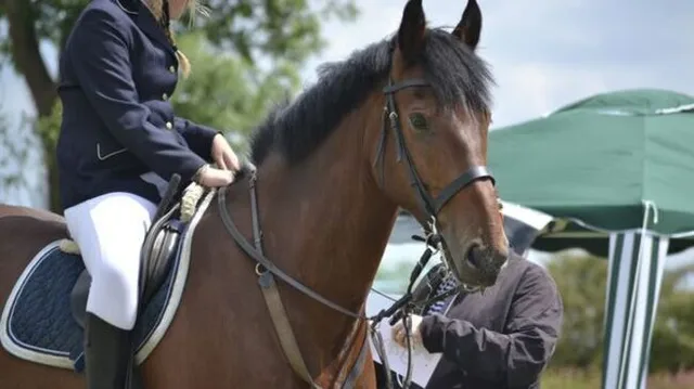 Equitazione: Global Champions Tour: Monaco