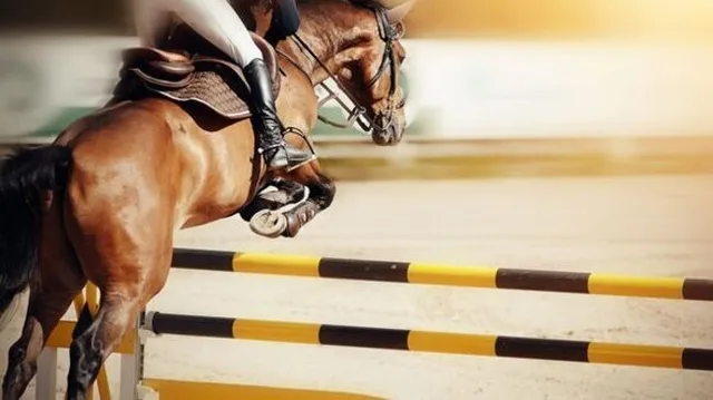 Equitazione Salto ostacoli: Global Champions Tour Saint Tropez