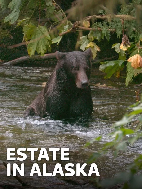 Estate in Alaska