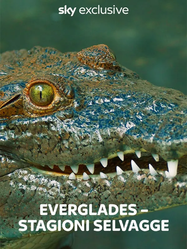 Everglades - Stagioni Selvagge