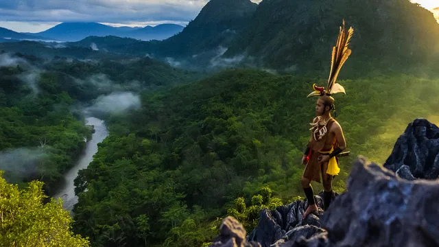 Evolution - Borneo, la foresta ancestral