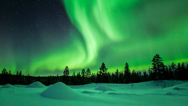 Evolution - Viaggi nelle terre del Nord