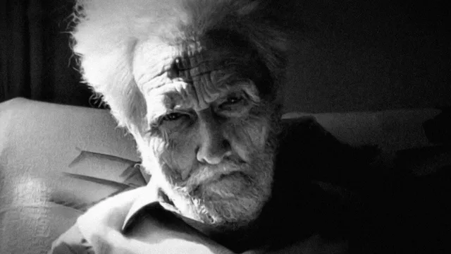 Ez for prez. Storia di Ezra Pound