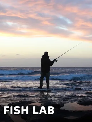 Fish Lab 1 — CACCIA e Pesca