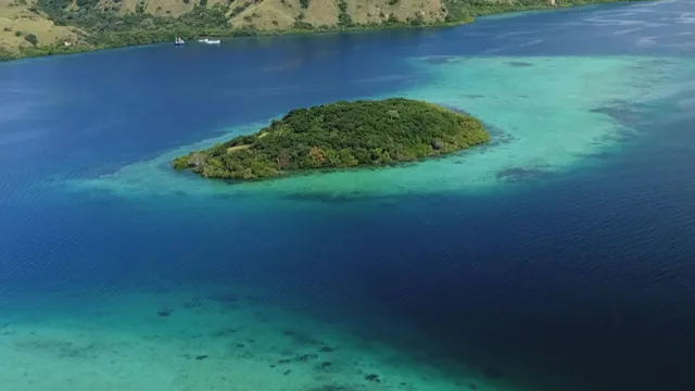 Focus Natura - Un mondo perfetto