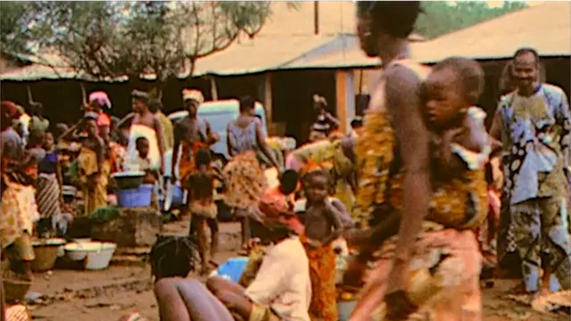 Frammenti elettrici n.5 - Africa