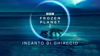 Frozen planet - Incanto di ghiaccio