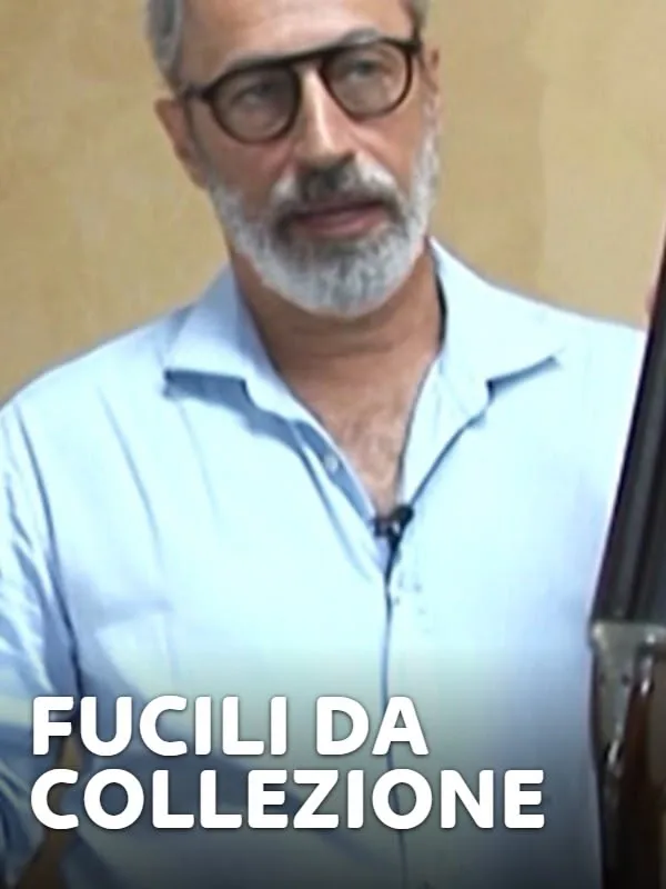 Fucili da collezione