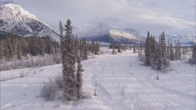 Fuori le prove! - Indagini ai confini della realta'