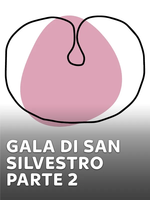 Gala di San Silvestro - parte 2