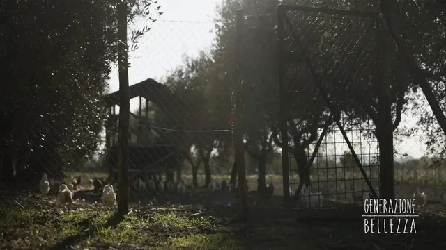 Generazione Bellezza - La mensa buona (prima parte)
