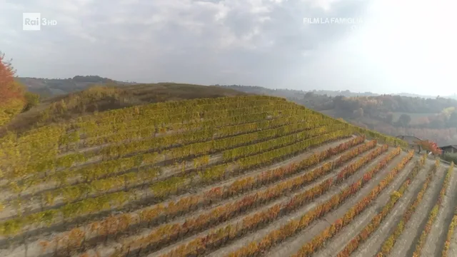Generazione Bellezza - Le panchine della felicità