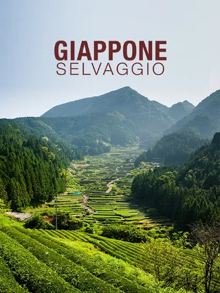 Giappone selvaggio