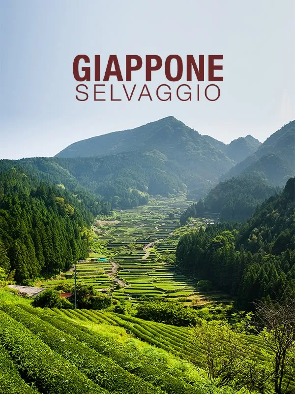 Giappone Selvaggio