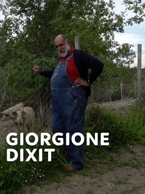 Giorgione dixit