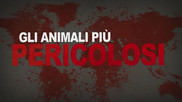 Gli animali piu' pericolosi