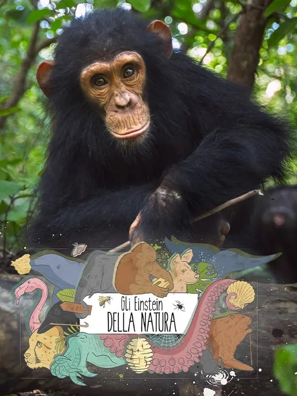 Gli Einstein della natura