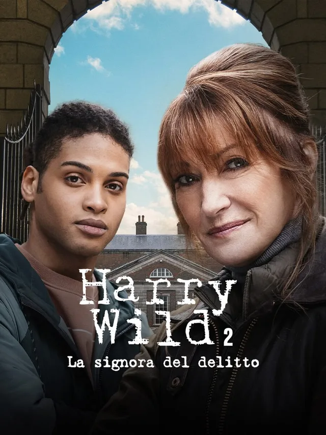 Harry Wild - La signora del delitto