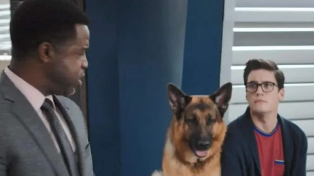 Hudson & Rex