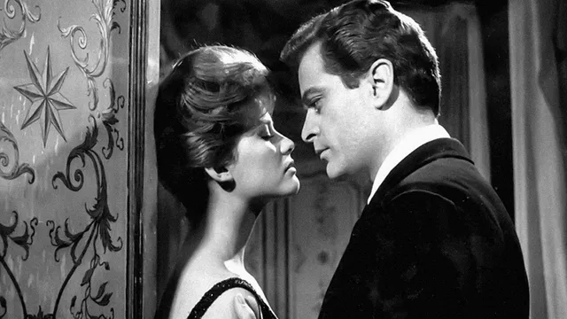 I delfini