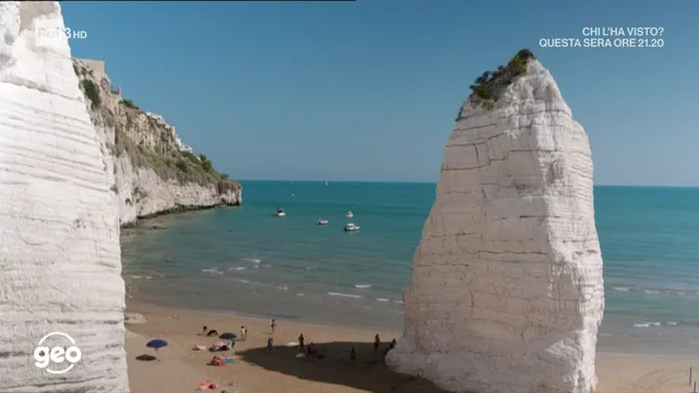 I giganti del mare - Geo