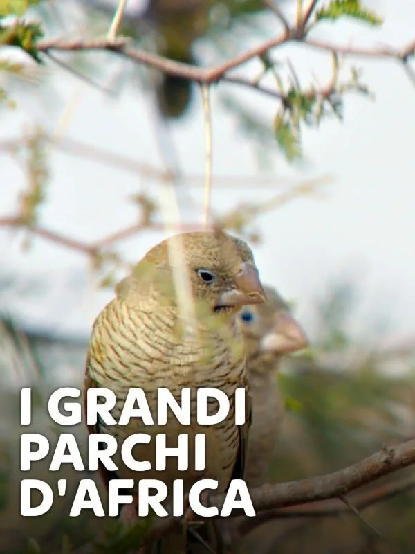 I grandi parchi d'Africa
