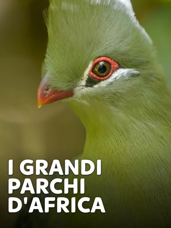 I grandi parchi d'Africa