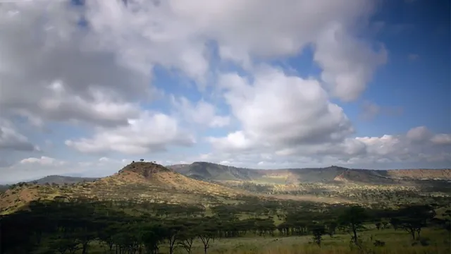 I meccanismi della natura
