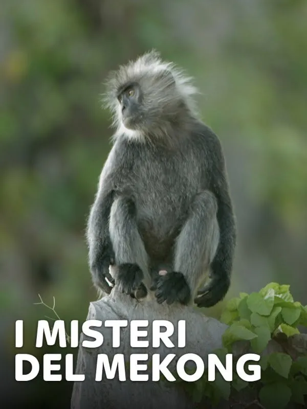 I misteri del Mekong