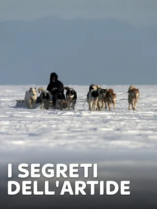 I segreti dell'Artide