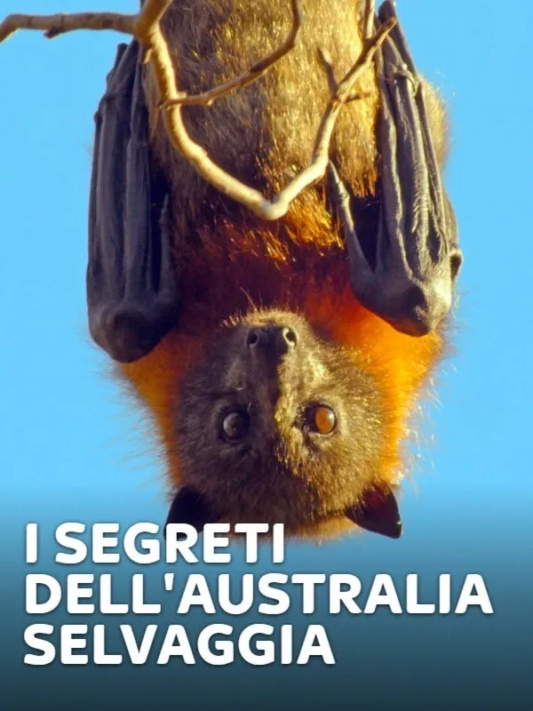 I segreti dell'Australia selvaggia