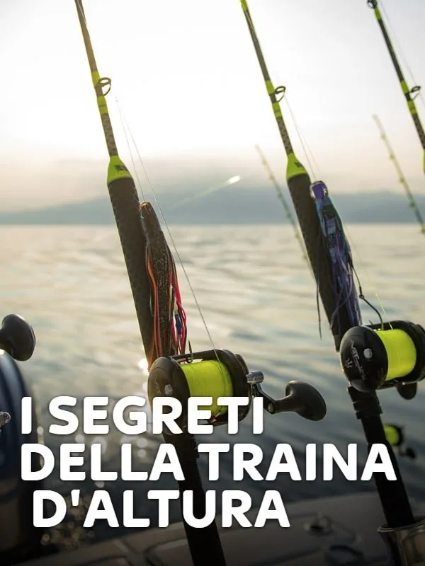 I segreti della traina d'altura 1