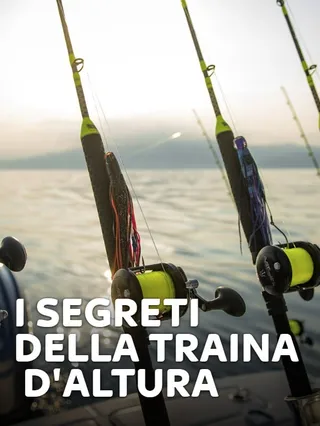 I segreti della traina d'altura 1