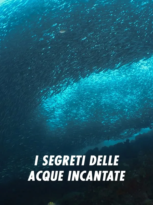 I segreti delle acque incantate
