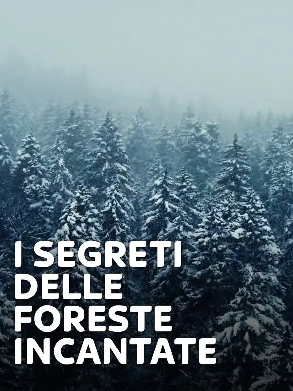 I segreti delle foreste incantate