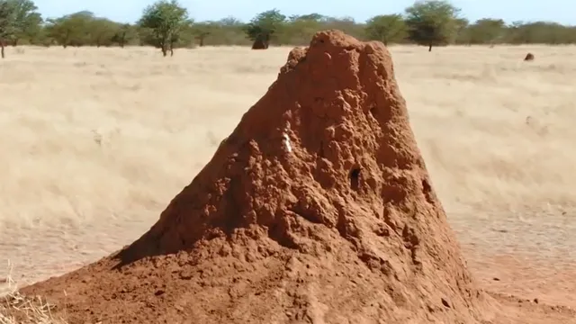 I segreti delle rocce