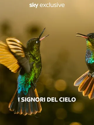 I signori del cielo