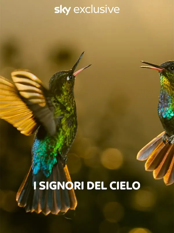 I signori del cielo