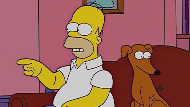 I Simpson