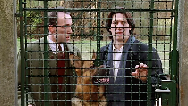 Il commissario Rex
