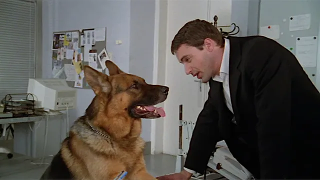 Il commissario Rex