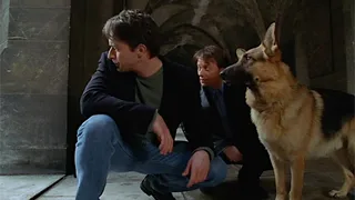 Il commissario Rex