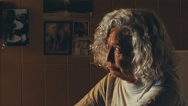 Il damo