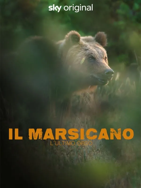 Il Marsicano - L'ultimo orso