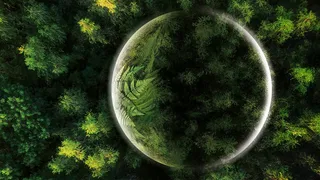 Il Pianeta Verde - Foreste tropica