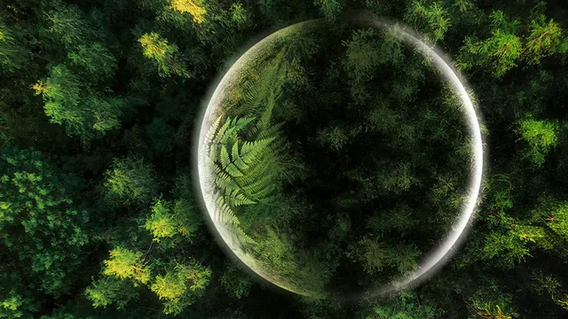 Il Pianeta Verde - Foreste tropica